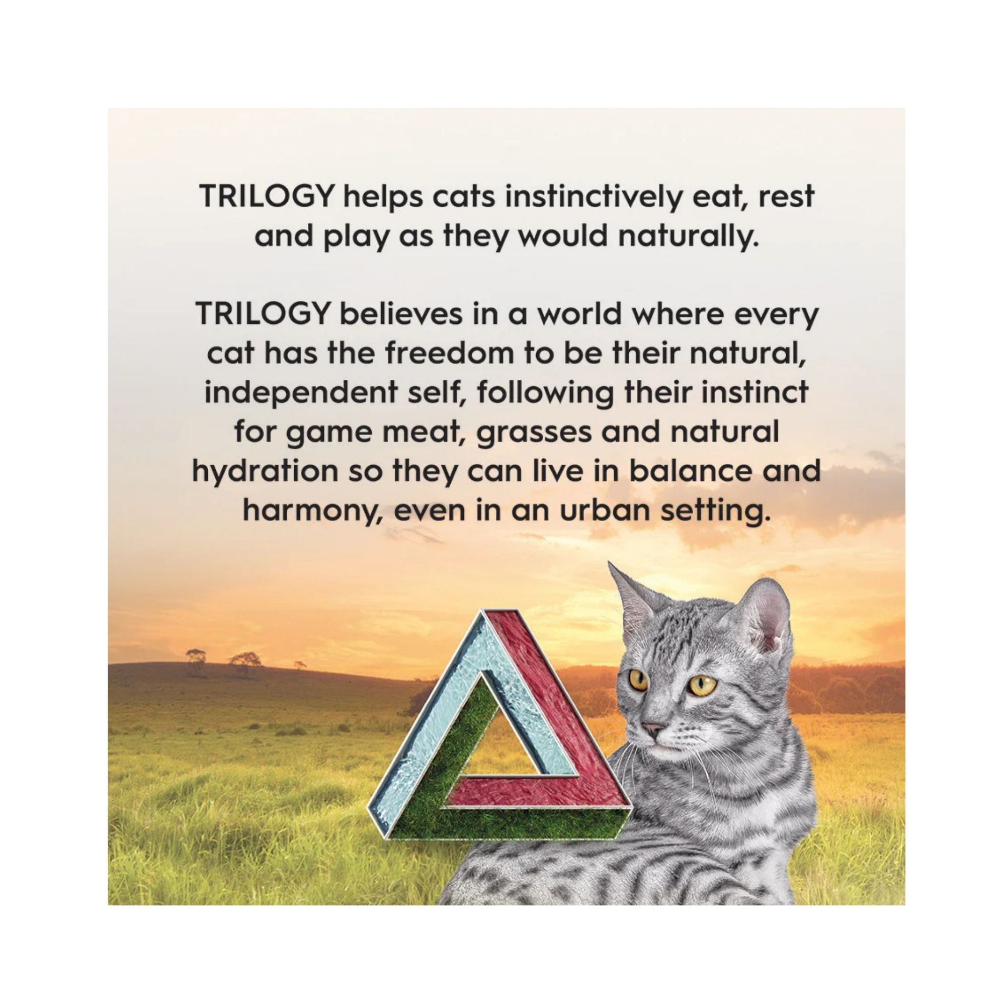 Grey tabby Cat sitting in a field next to a TRILOGY logo and promotional text about its benefits for cats.