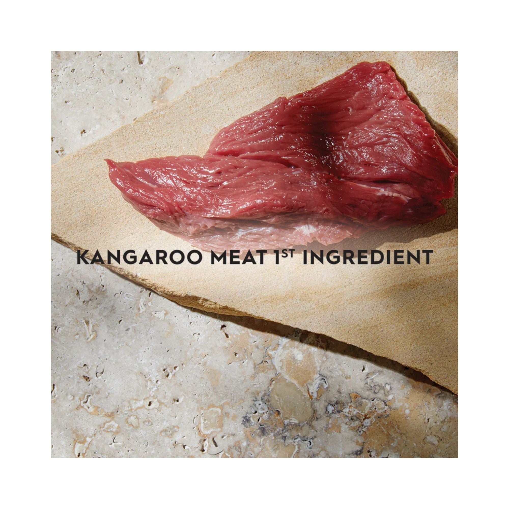 Raw kangaroo meat on a stone surface with text 'Kangaroo Meat 1st Ingredient'.