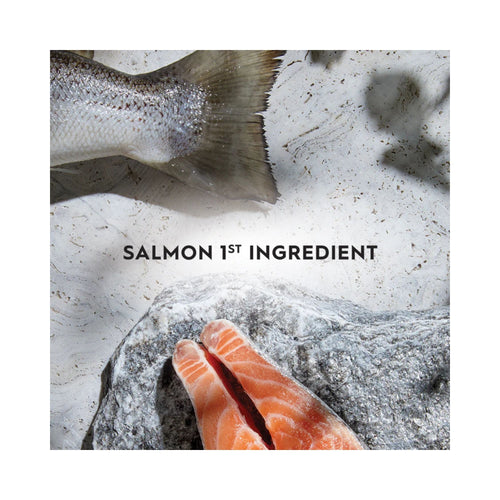 Raw Australian Salmon Fillet number one ingredient in Trilogy Australian Salmon + Freeze Dried New Zealand Lamb Adult Cat Food