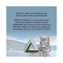 Grey tabby feline with lake background beside Trilogy logo promoting natural instinct nutrition