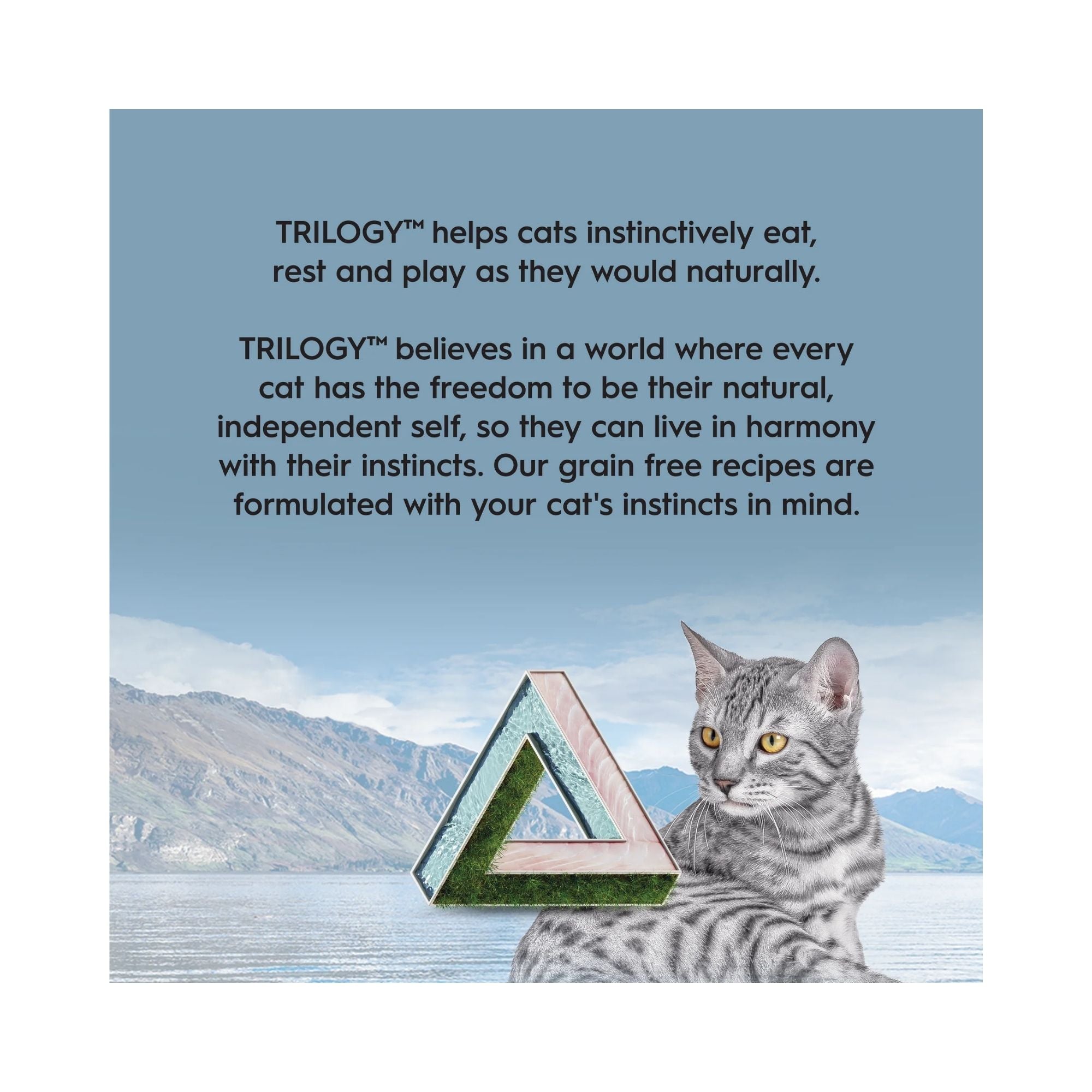 Grey tabby feline with lake background beside Trilogy logo promoting natural instinct nutrition