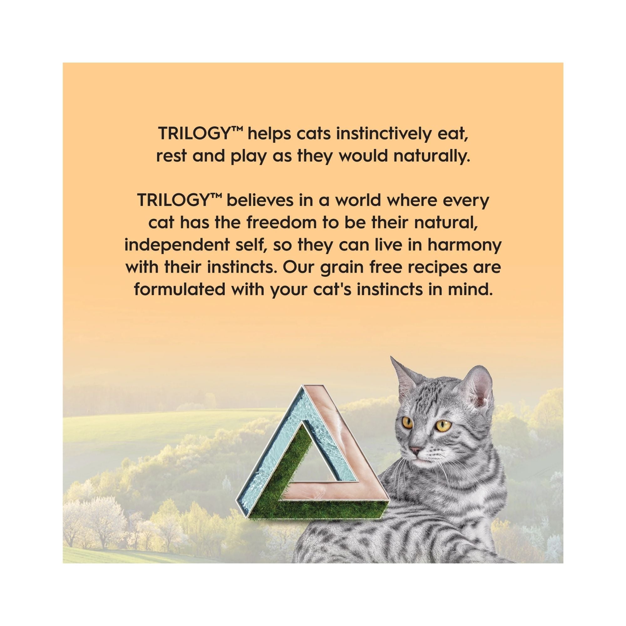 Grey tabby feline in front of scenic background beside Trilogy logo promoting natural instinct nutrition