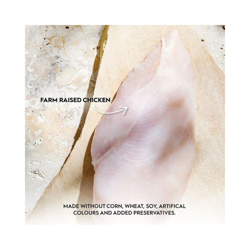 Raw Farm Raised Chicken fillet on a stone surface, highlighting grain-free cat food ingredients