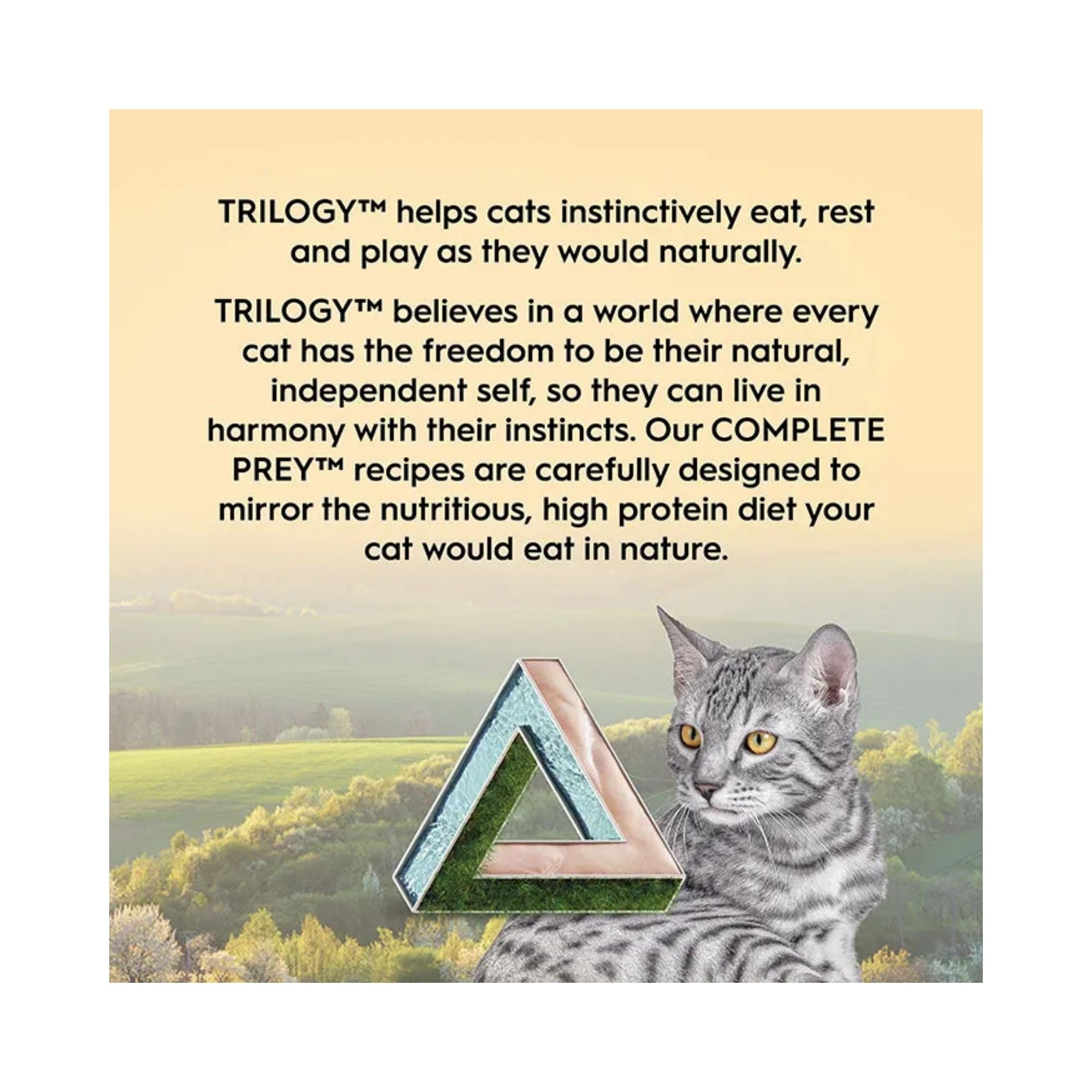 Advertisement for TRILOGY cat food with a grey cat and scenic background