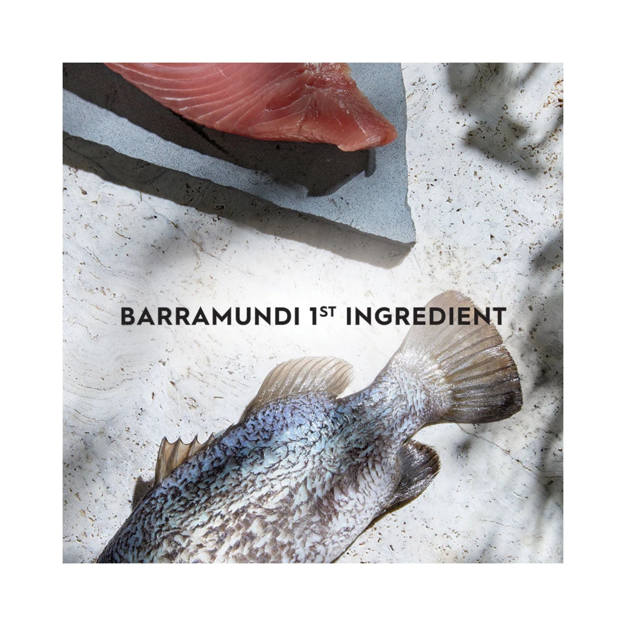 Raw barramundi fish on a cutting board with text 'BARRAMUNDI 1ST INGREDIENT'.