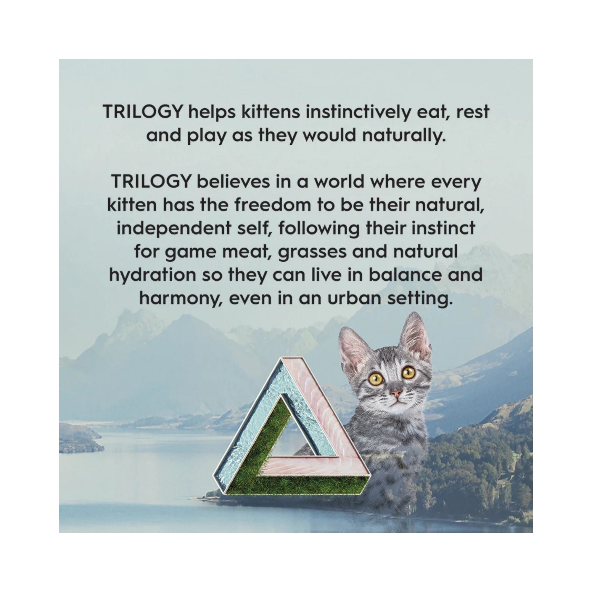 Trilogy instinctively helps kittens graphic with a grey cat sitting next to a Trilogy triangular logo with a scenic background 