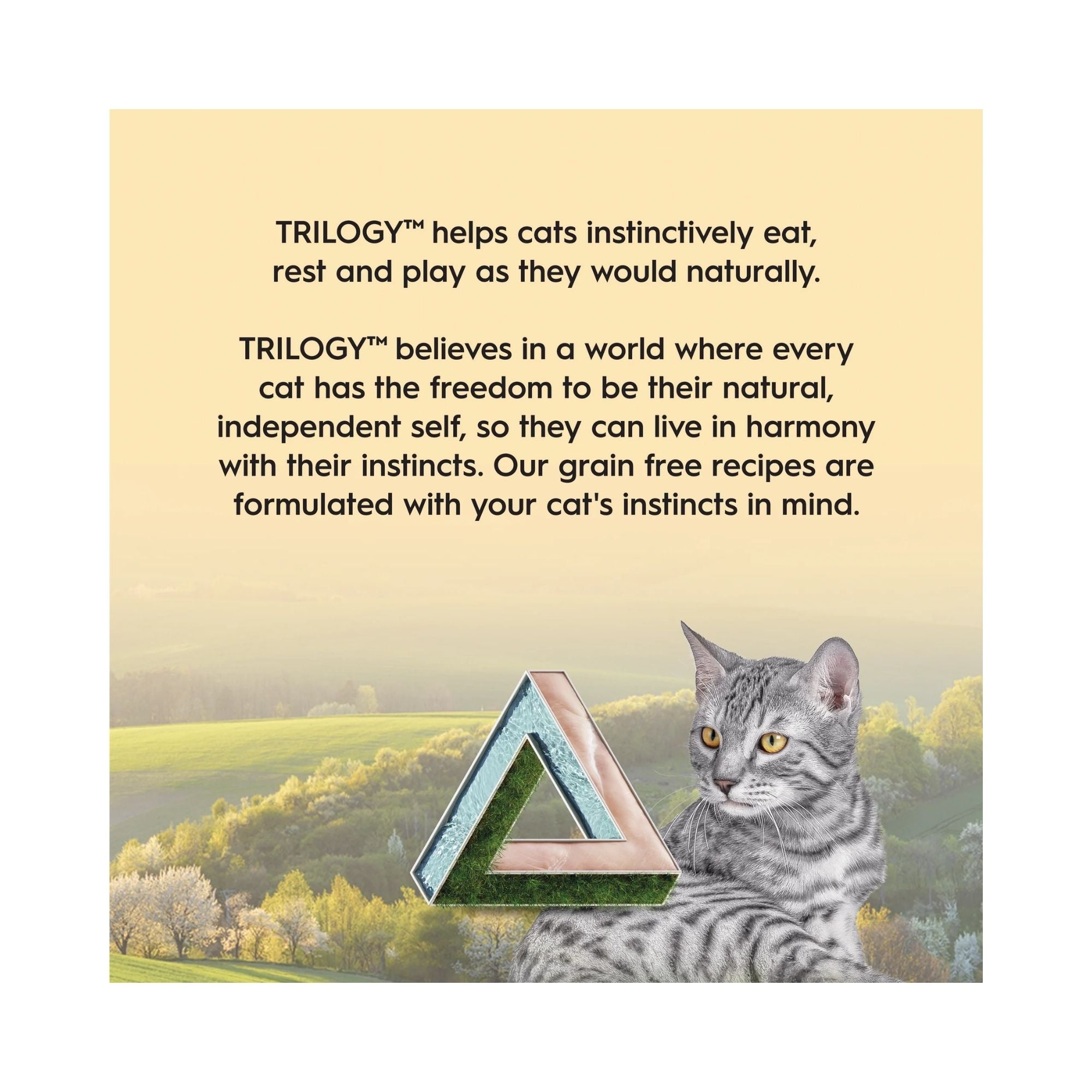 Grey tabby feline with tree background beside Trilogy logo promoting natural instinct nutrition