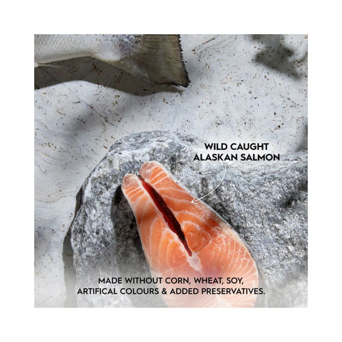 Raw wild-caught Alaskan salmon fillet on a rock highlighting grain-free cat food ingredients