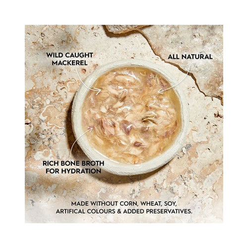 Bowl of Wild Caught Mackerel in bone broth promoting hydration and grain-free recipe