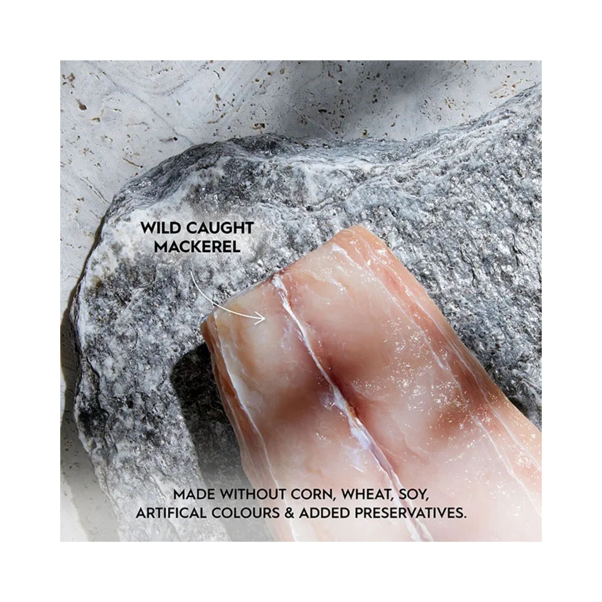 Raw Wild Caught Mackerel fillet highlighting grain-free cat food ingredients