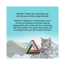 Grey tabby cat in front of scenic lake background beside Trilogy logo promoting natural instinct nutrition