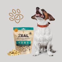 Zeal air-dried natural Hoki Fish Cubes, featuring a dog waiting for it's tasty nutritious reward.