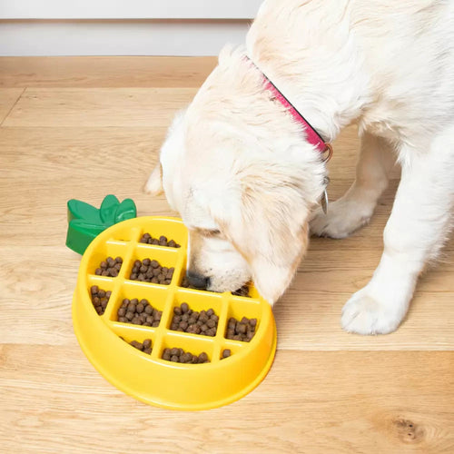 Golden Retriever puppy eating kibble from the ZippyPaws Happy Bowl Pineapple slow-feed dog bowl.