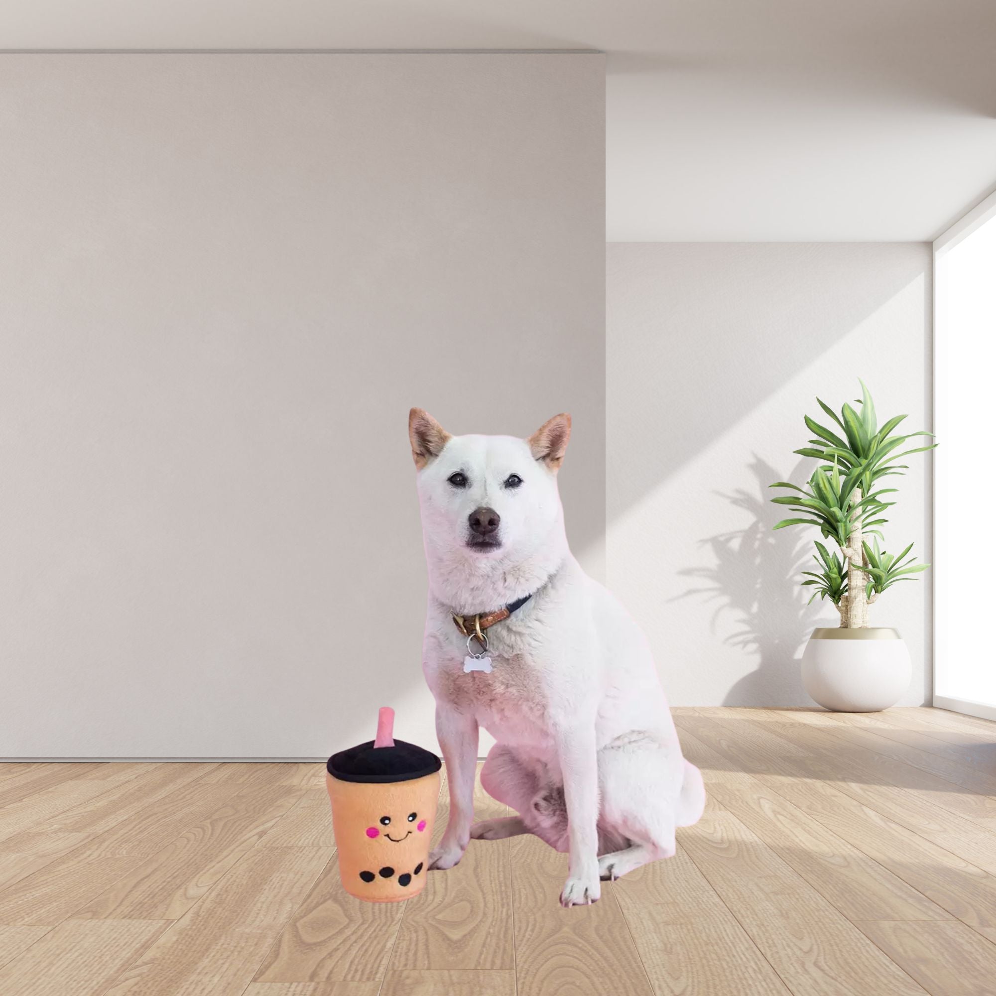 A white dog sits on a light wood floor in a minimalist room next to a ZippyPaws NomNomz Boba Milk Tea Plush Dog Toy with an embroidered face, a pink straw and black boba dots.