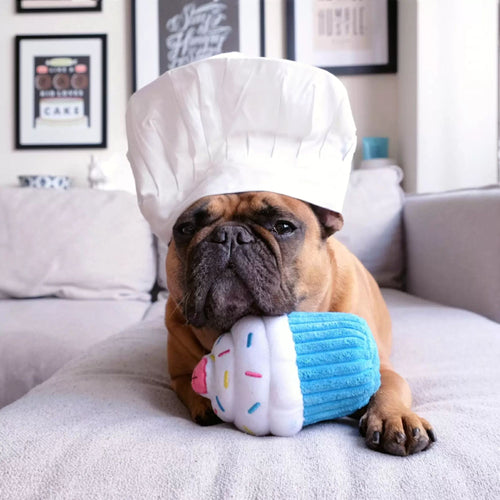 A dog wearing a chef's hat resting its chin on a blue ZippyPaws NomNomz Cupcake plush toy on a couch.