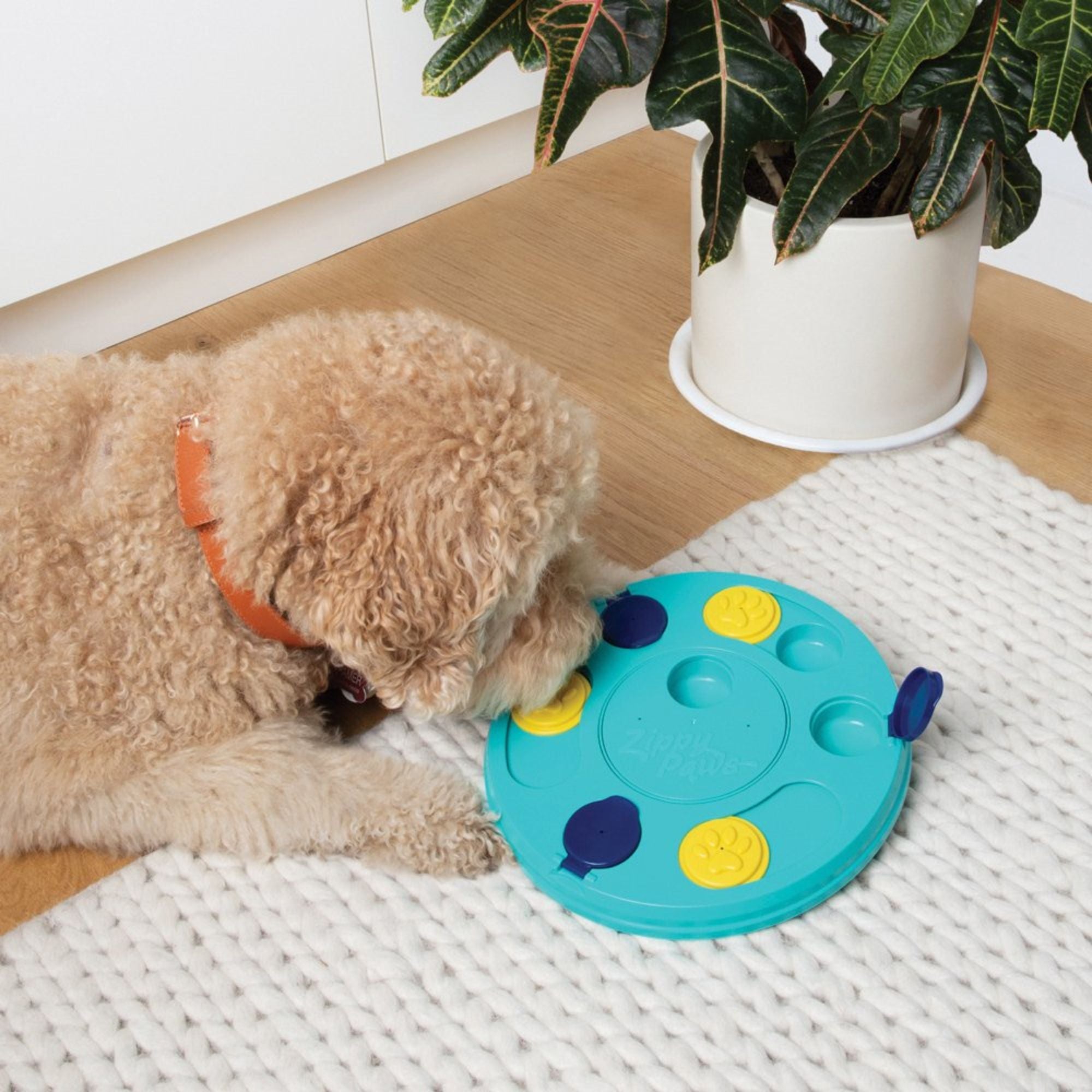 ZippyPaws SmartyPaws Puzzler in teal being used by a dog at home