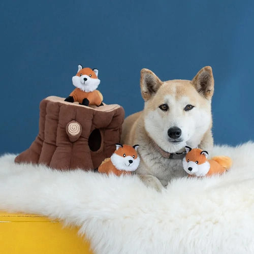 A serene Shiba Inu sits amidst the Zippy Burrow Fox Stump dog toy, with a plush brown stump and three orange fox toys on a fluffy white rug.