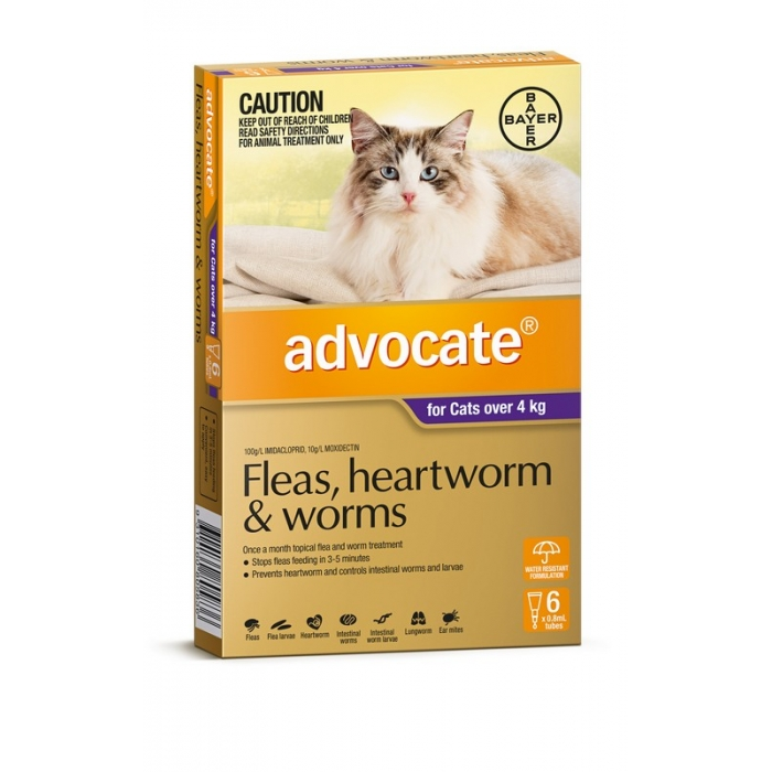 Advocate Flea & Worming, Large Cat (Purple) 6 Pack