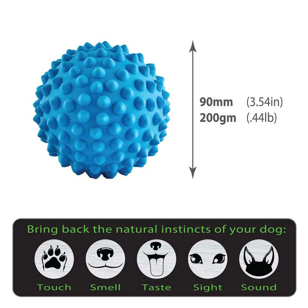 Aussie Dog Blue Catch Ball, Dimensions