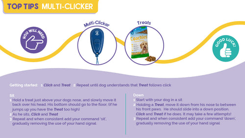 Company of Animals Multi-Clicker - Top Tips