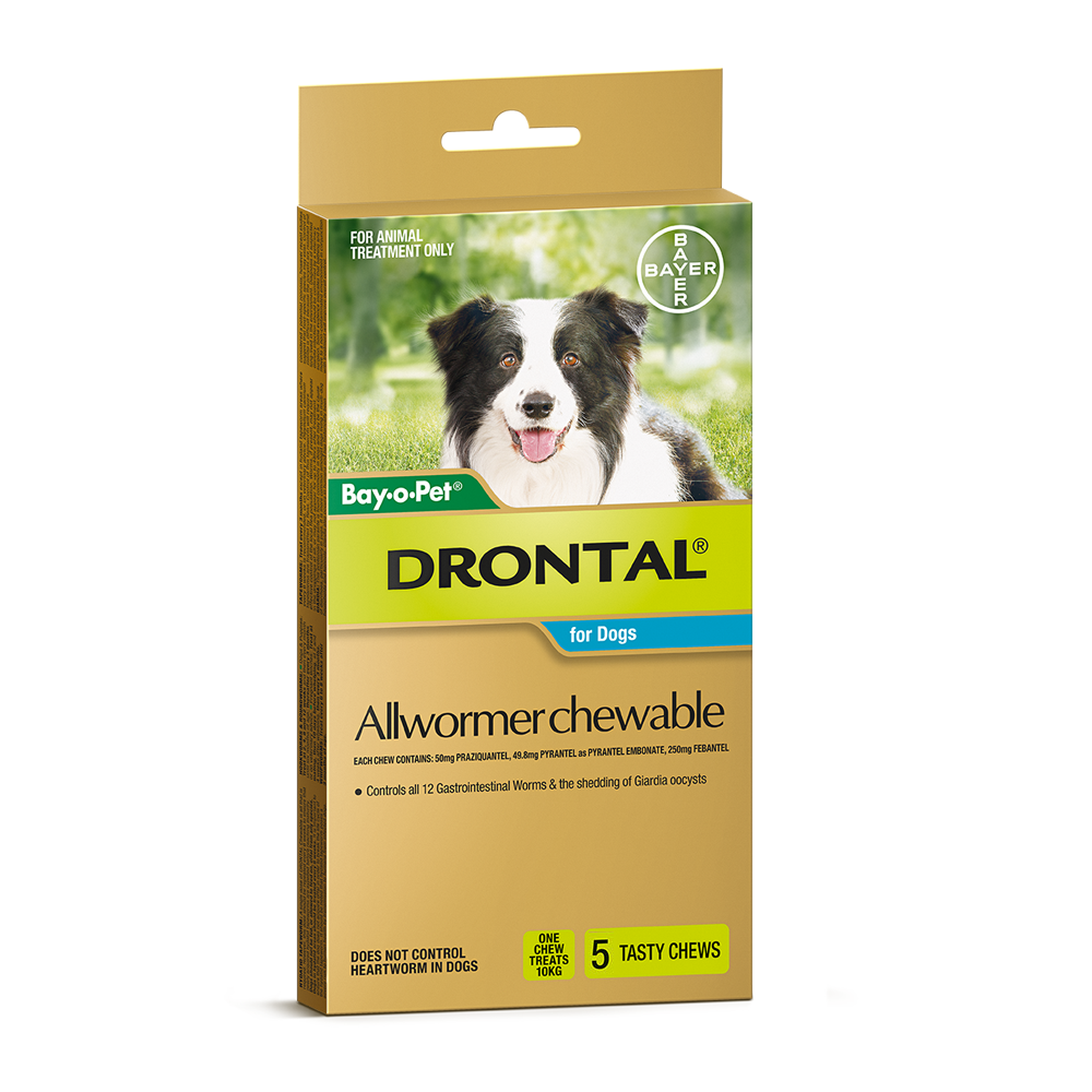 Drontal Allwormer Chewable 10kg, Medium Dogs (5 Pack)