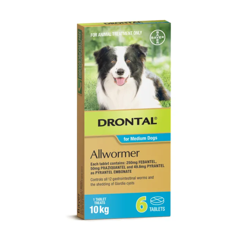 Drontal Allwormer Tablets 10kg, Medium Dog (6 Pack)