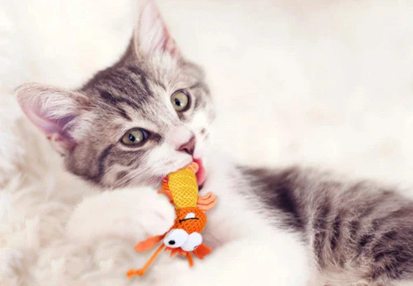 GIGWI Dental Mesh Shrimp Cat Toy. Designed to gently floss and clean your cat’s teeth