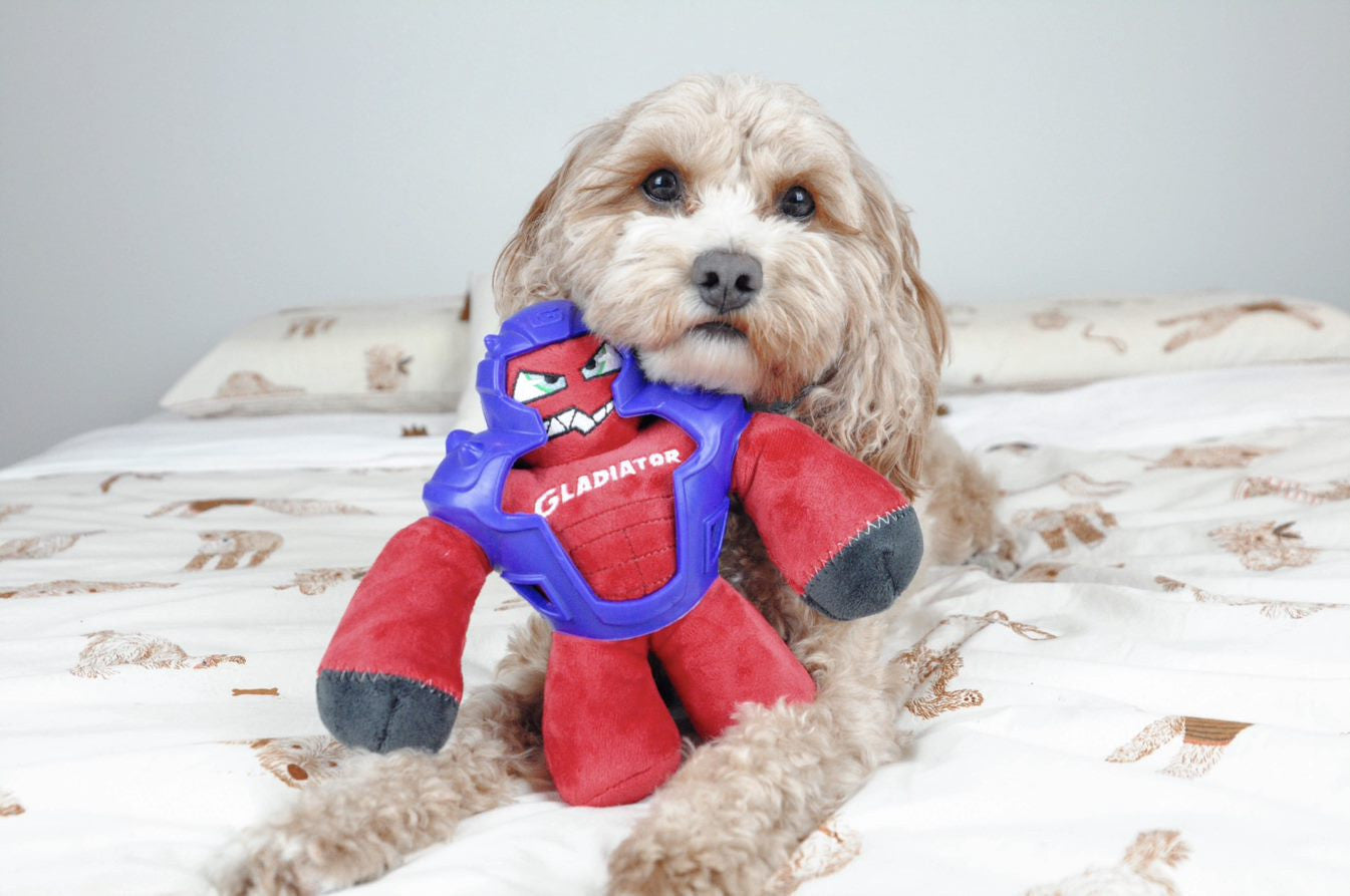 Adorable dog playing with GiGwi Gladiator plush toy