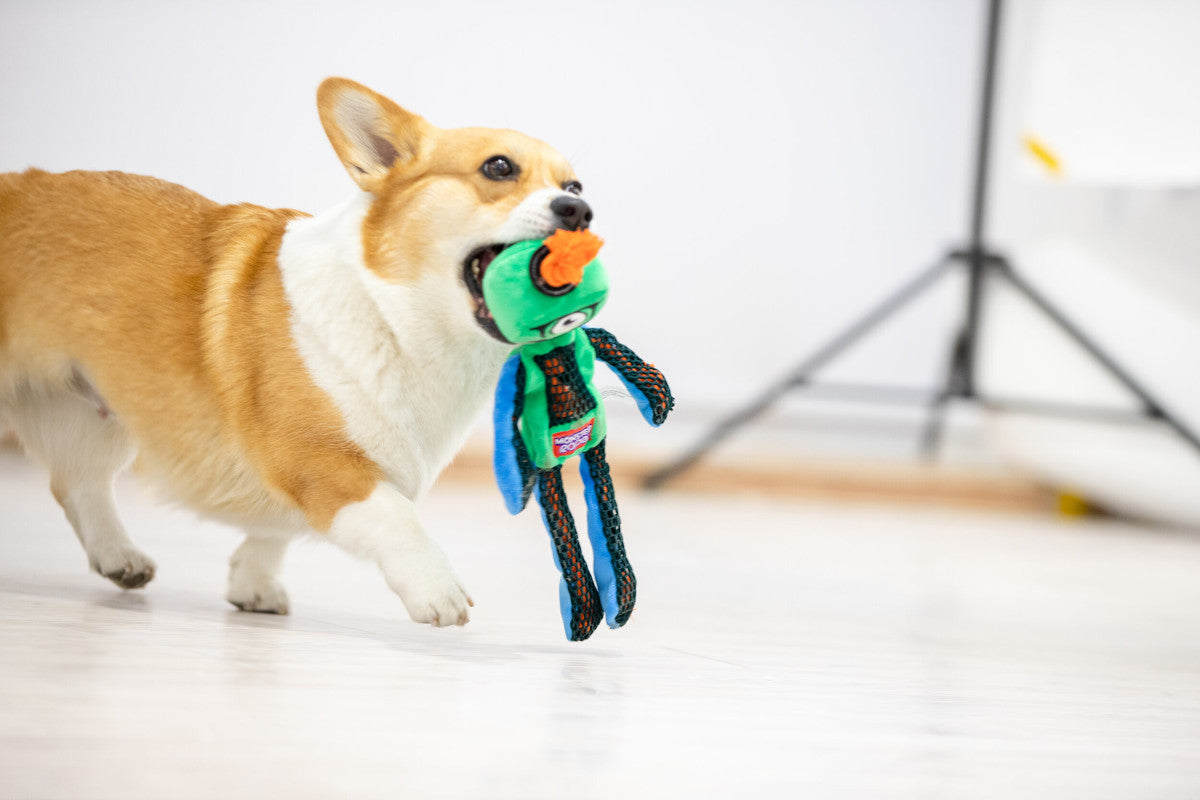 Gigwi Monster Rope Dog Toys