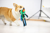 Gigwi Monster Rope Dog Toys