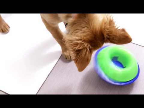KONG Tiltz Treat Dispensing Dog Toy