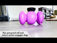 KONG Replay Auto Rollback Treat Dispensing Dog Toy