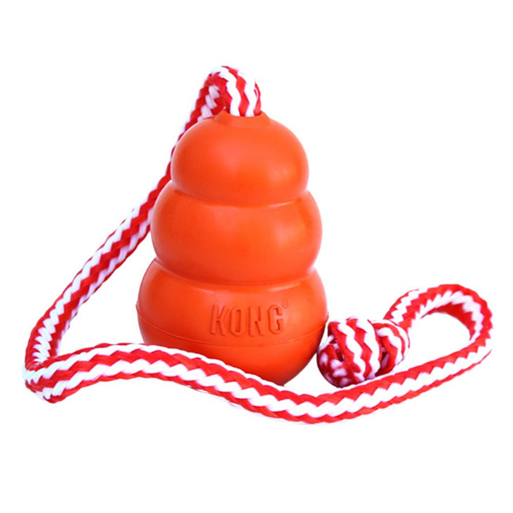 KONG Aqua Dog Toy with Rope