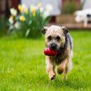 KONG Classic Red Rubber dog toy, fun to chase and fetch.