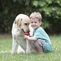 KONG Classic Red Rubber dog toy. Perfect for strengthening the bond you have with your fur baby.