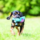 A dog carrying a KONG Cozie King Lion Plush Dog Toy.