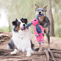 Playful dogs engaging with a KONG Floppy Knots Bunny Dog Toy.