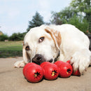 KONG Goodie Ribbon, mentally challenging puzzle toy for dogs.