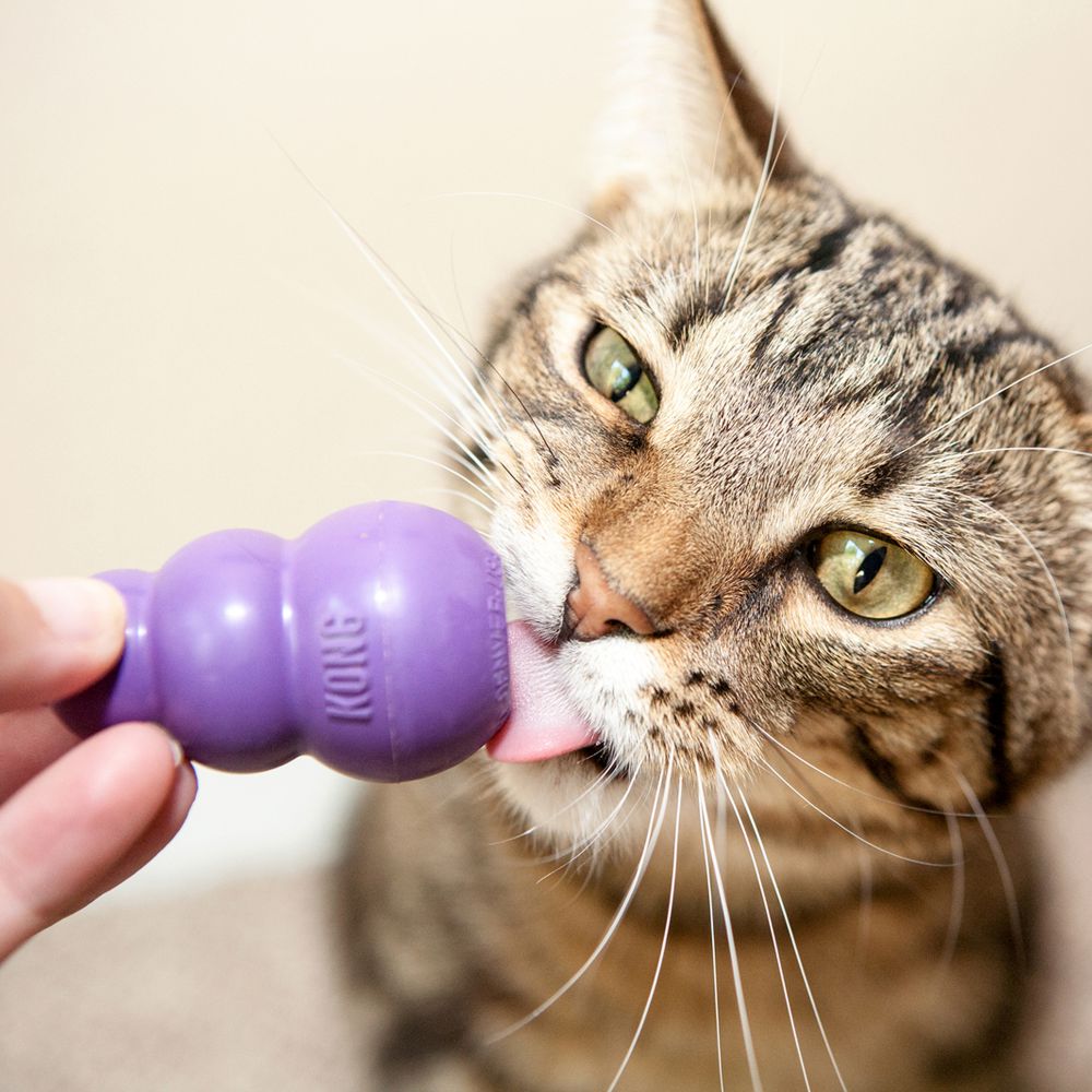 KONG - Kitty KONG treat-dispensing cat toy.