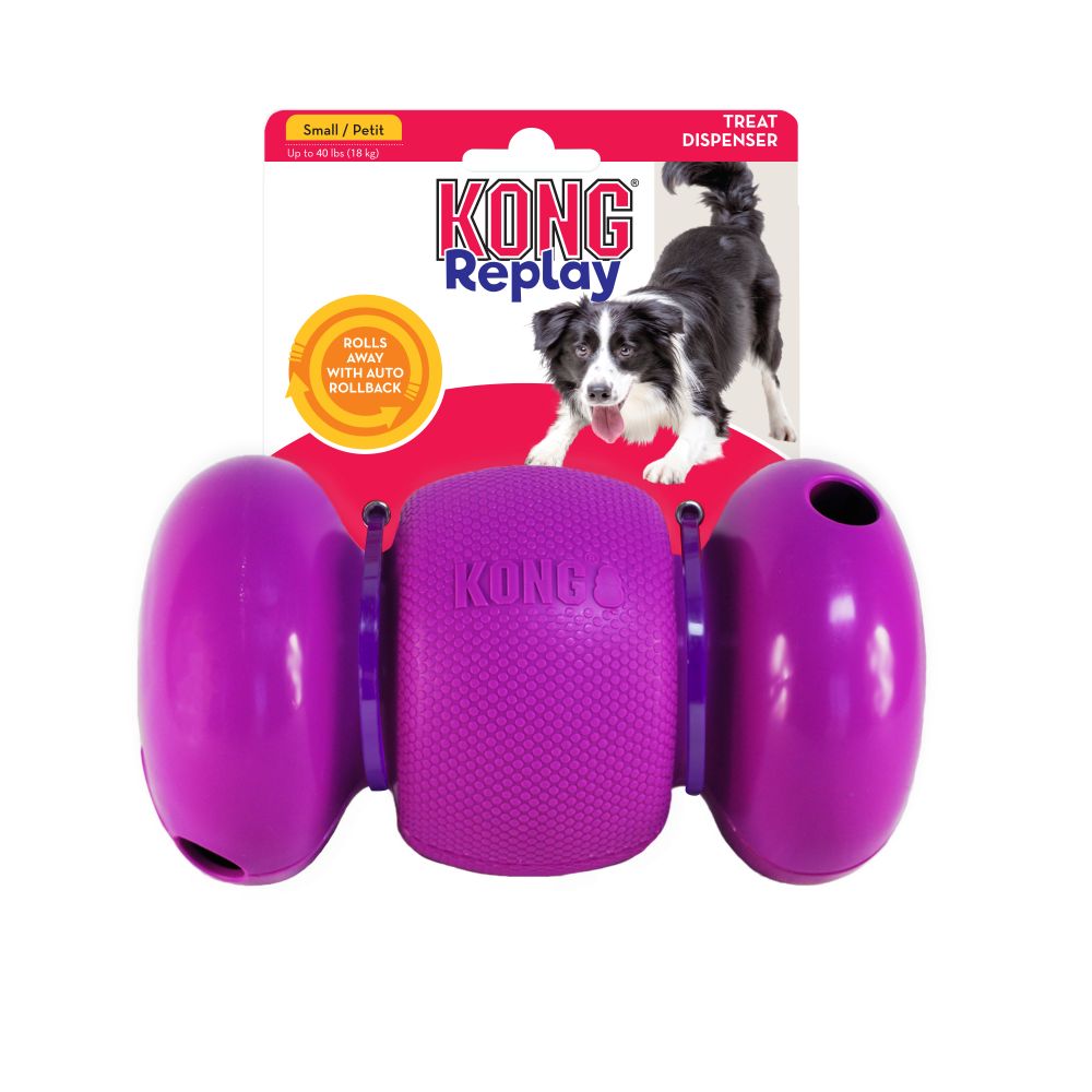 KONG Replay Auto Rollback Treat Dispensing Dog Toy Small