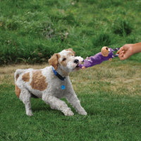 Dog and their owner playing with a KONG Tugger Knots Monkey Interactive Rope Dog Toy.