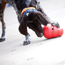 KONG Wobbler Treat Dispensing Dog Toy - with Fido.