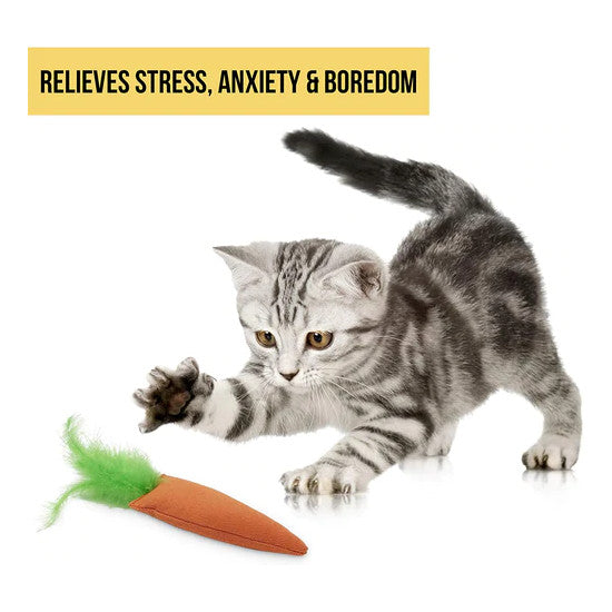 The Cosmic Catnip Filled Toy Carrot, relieves stress, anxiety and boredom.
