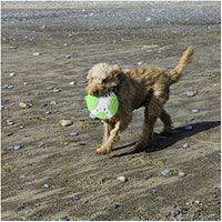 Rosewood Throw Go Dental Saucer - Dog Toy