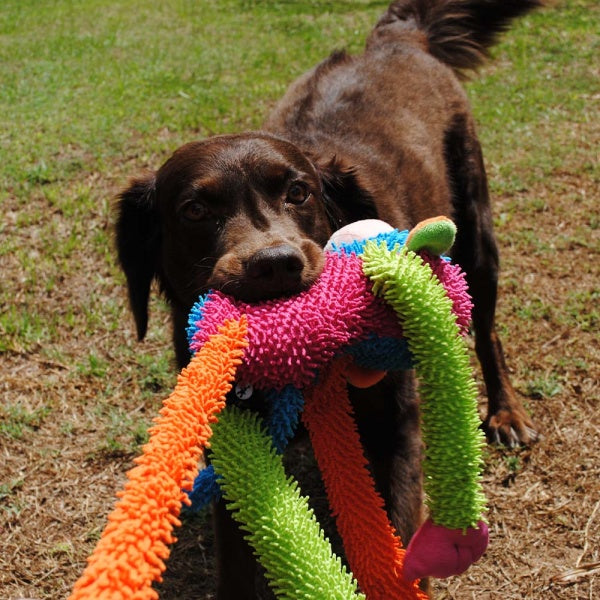 Scream Crew Monkey is ideal for gentle dogs who love to carry around their toys.