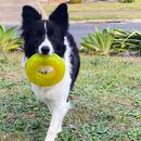 Scream Xtreme Treat Tyre Loud Green Dog Toy