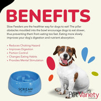 Scream Slow Feeder Dog Bowl - Slows Down Eager Eaters & Improves Digestion