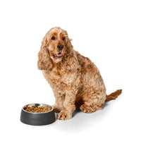 Snooza Pet Bowl Concrete Charcoal