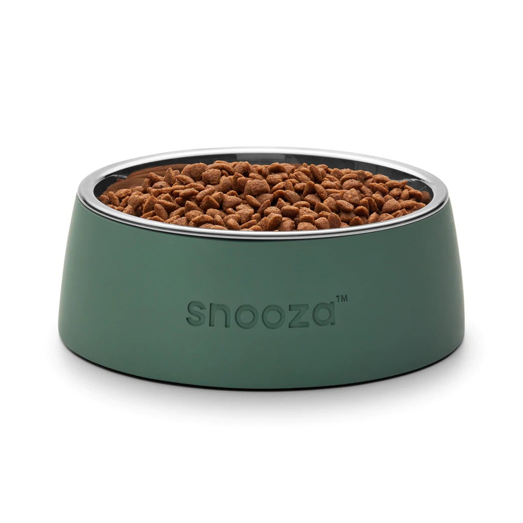 Snooza Pet Bowl Concrete Sage Green