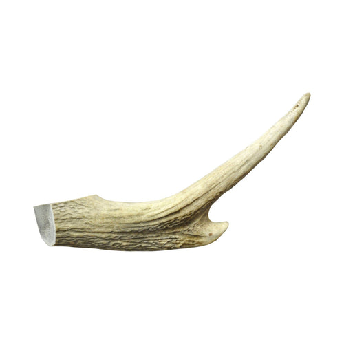 All-Natural Large Deer Antler Dog Chew for Improved Oral Health